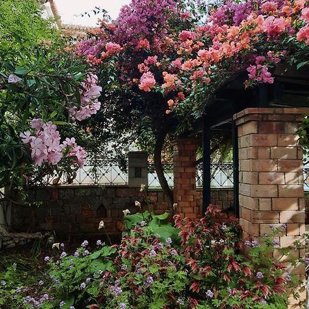 Ferienwohnung Veneto's Garden Kardhamili Exterior foto