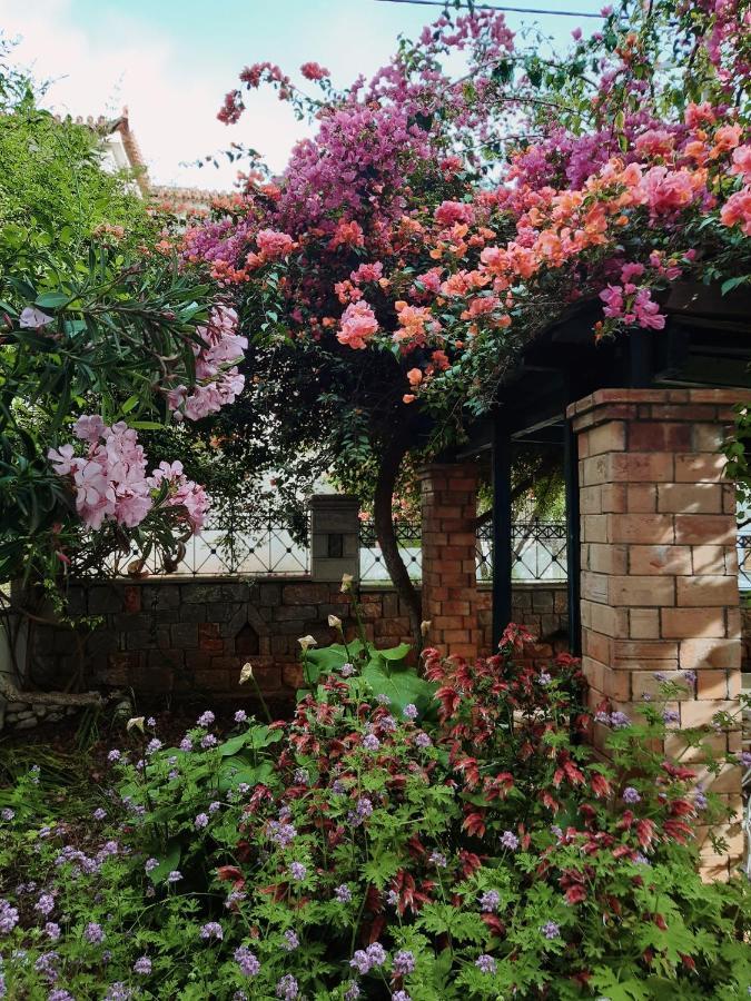 Ferienwohnung Veneto's Garden Kardhamili Exterior foto
